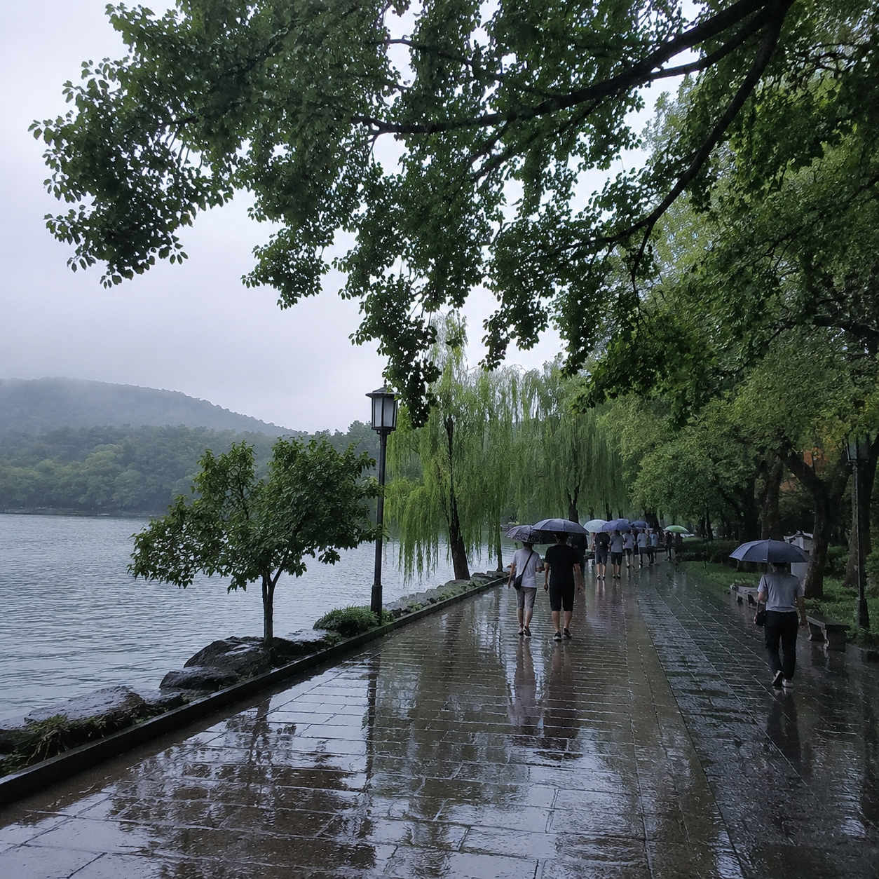 七月在杭州安安静静避雨，我终于不再把下雨当行程损失 | My First Rainy July Plan in Hangzhou Taught Me to Stop Treating Rain as Lost Travel Time