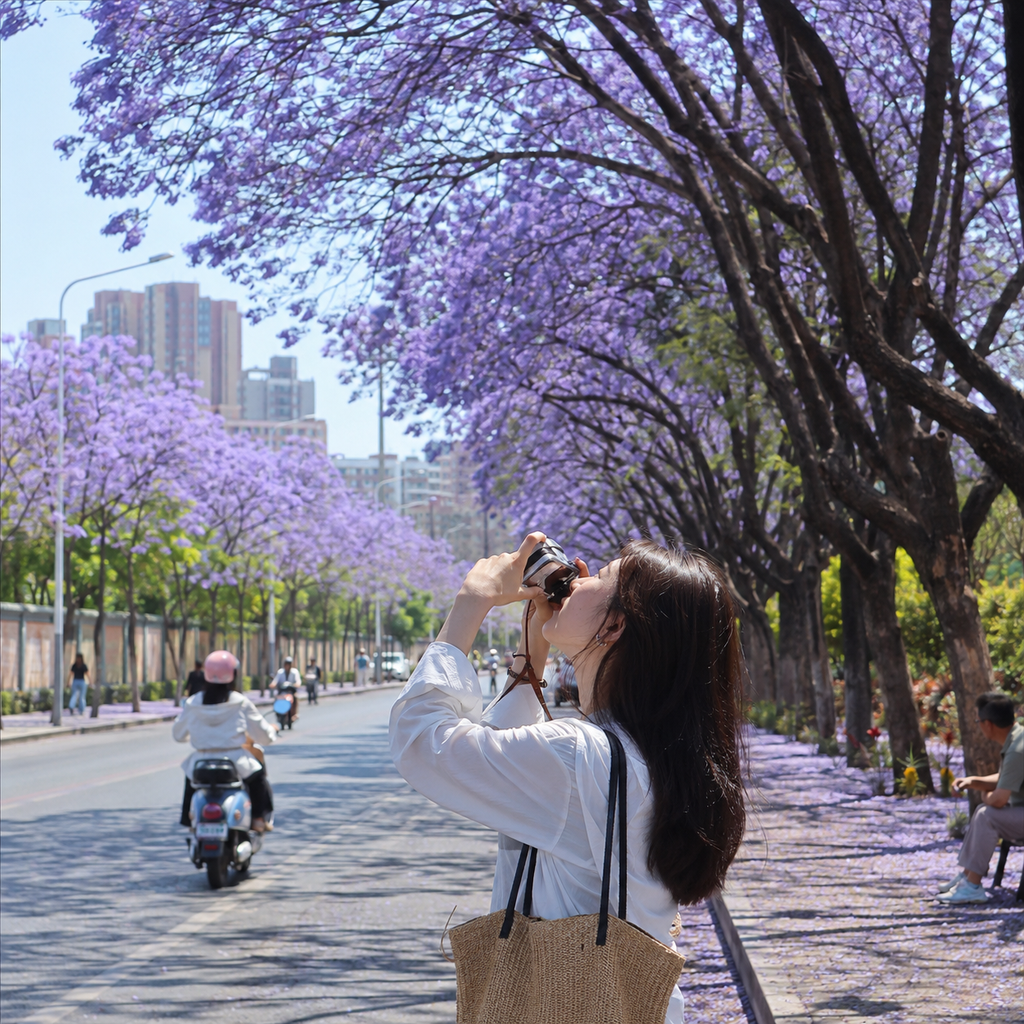 TravelCN article image 2