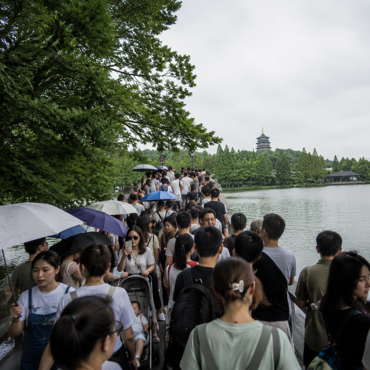 杭州西湖边那阵风，提醒我热门景区也要会躲人流 | A Breeze by West Lake Reminded Me How to Dodge Crowds at Famous Attractions