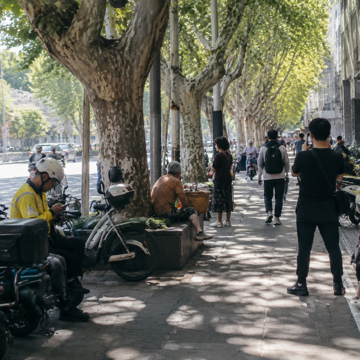 南京梧桐树下的阴影，让我懂得城市记忆不是口号 | Under Nanjing&rsquo;s Plane Trees, I Learned City Memory Is Not a Slogan