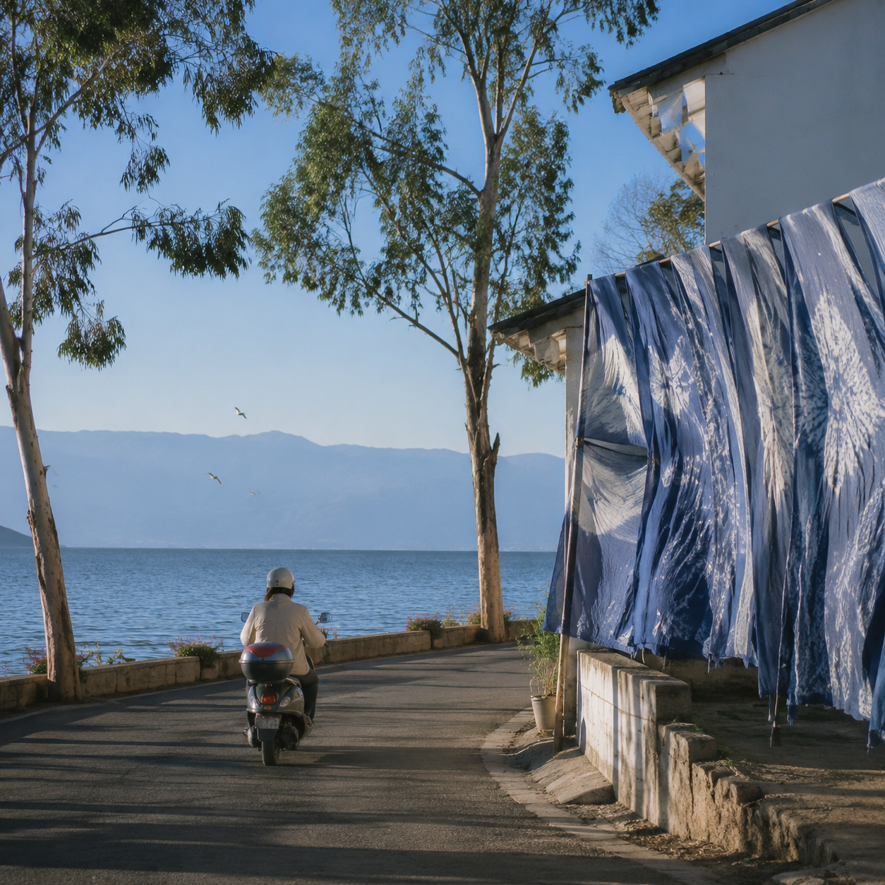 大理风停下来的那一刻，我才看清洱海边的节奏 | When the Wind Paused in Dali, I Finally Saw the Rhythm Beside Erhai