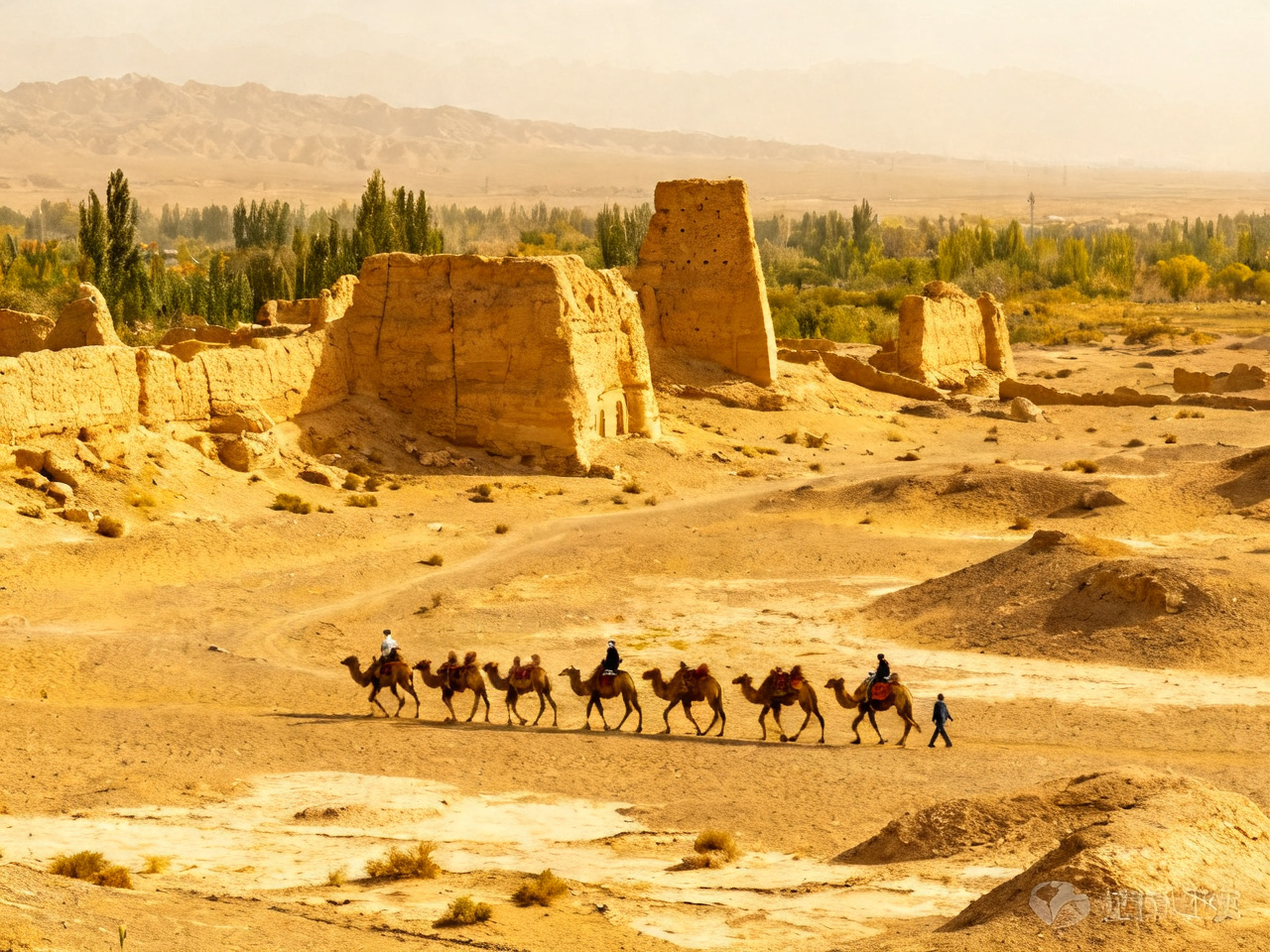 中国西部丝绸之路探险