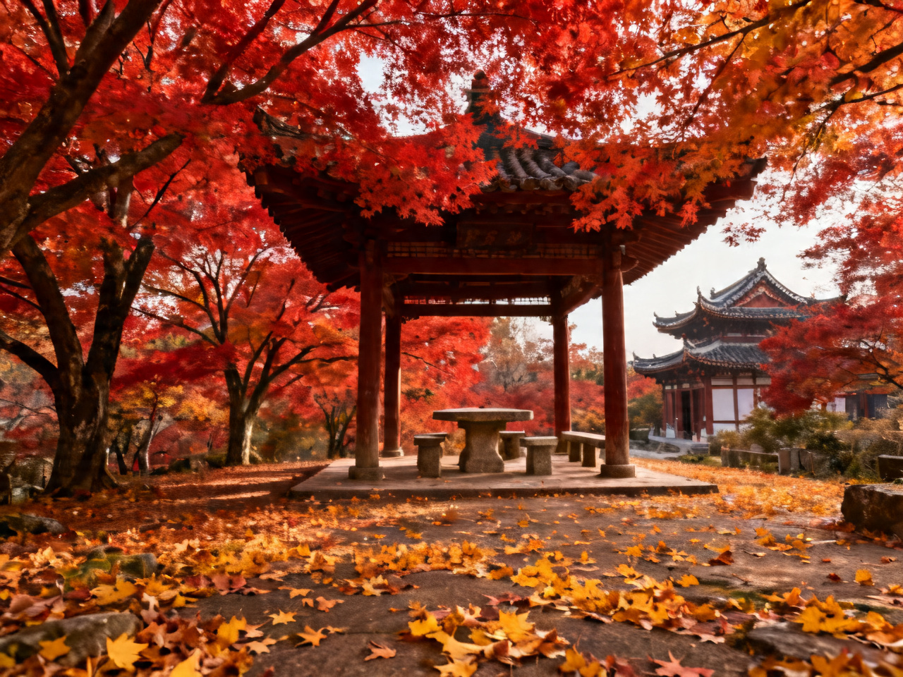 秋季红叶最佳观赏地