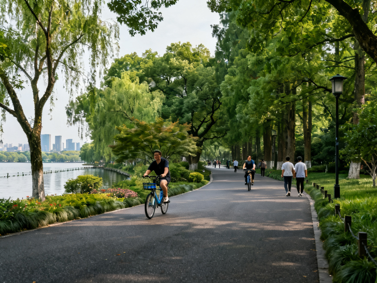 杭州杨公堤水杉绿色隧道