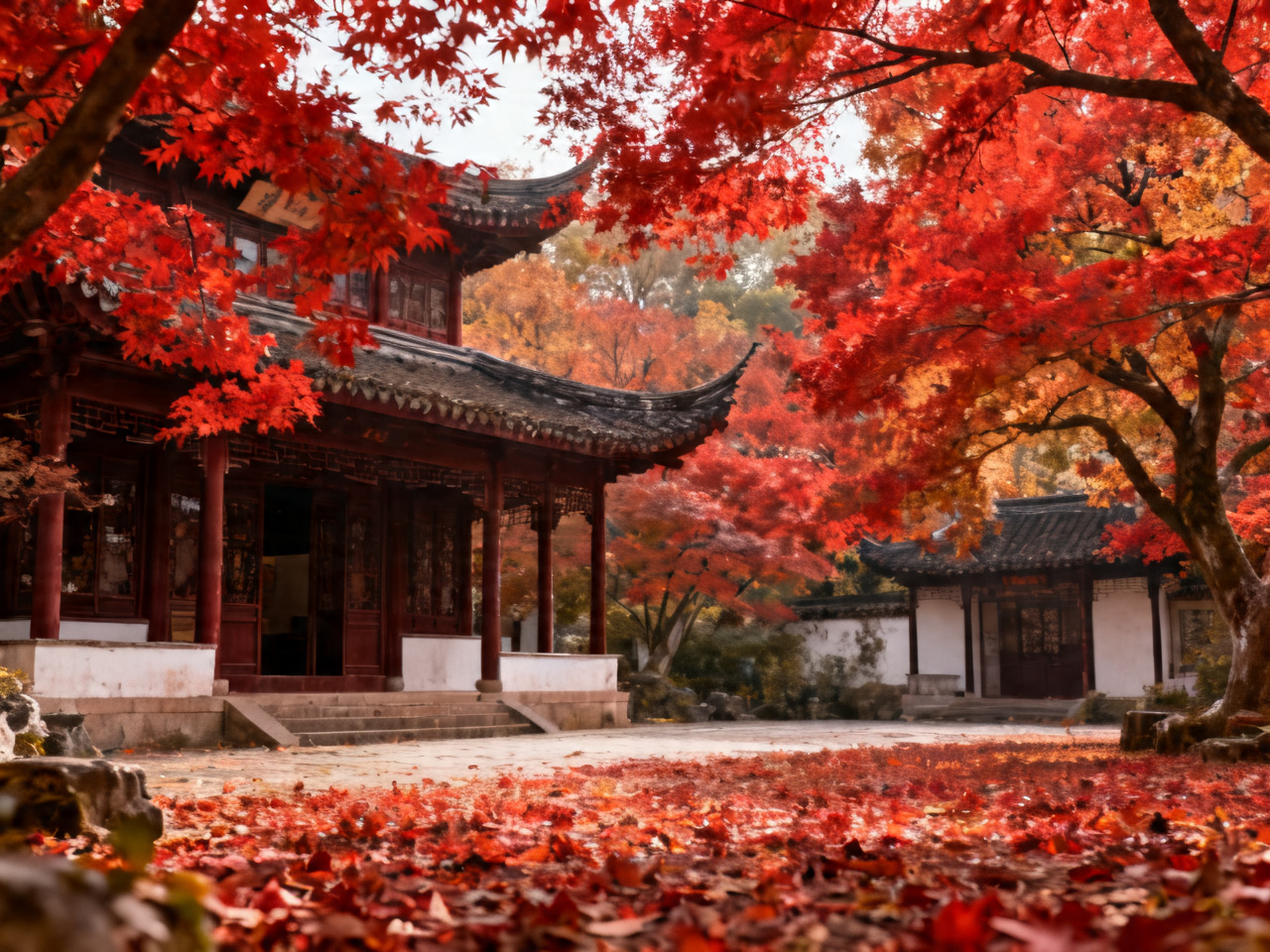 秋季红叶最佳观赏地 | Best Autumn Foliage Spots in China
